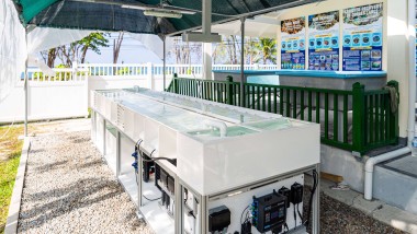 Canon collabora al laboratorio per la riproduzione dei coralli