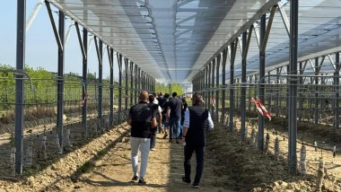 Agrivoltaico, le nuove prospettive per l'agricoltura