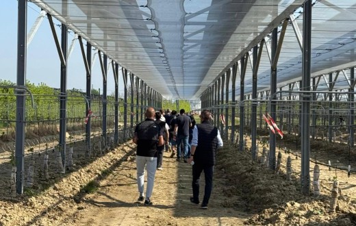 Agrivoltaico, le nuove prospettive per l'agricoltura