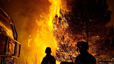IoT contro gli incendi boschivi
