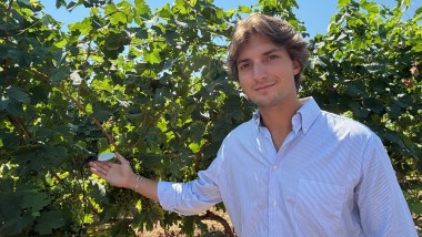 Villa Sandi, vigneti smart con IA e sensori